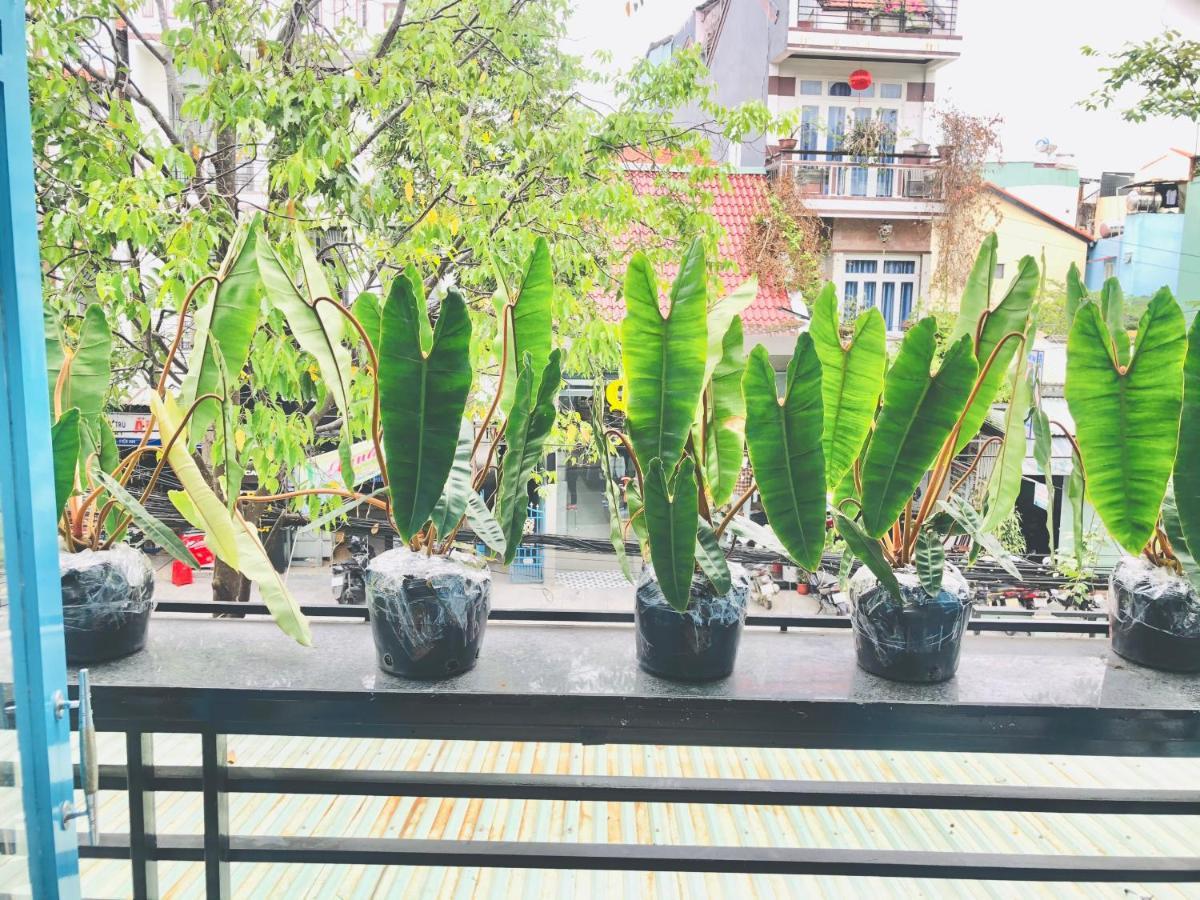 An'S Family Homestay Hoi An - 5Mins Walk To Hoi An Ancient Town Exteriör bild