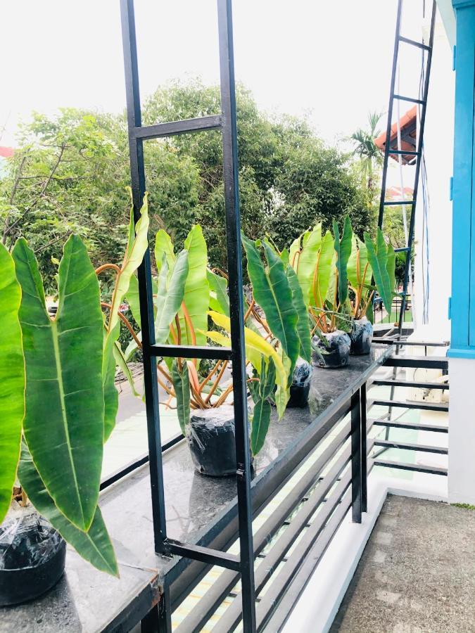 An'S Family Homestay Hoi An - 5Mins Walk To Hoi An Ancient Town Exteriör bild